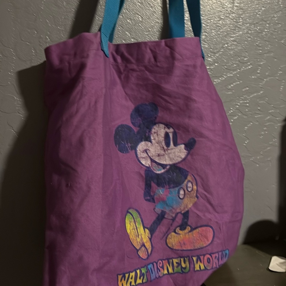 2008-2009 Walt Disney world theme park tote